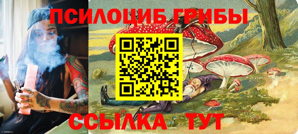 Псилоцибиновые грибы ЛСД  Вход с VPN  закладка  Сатка 